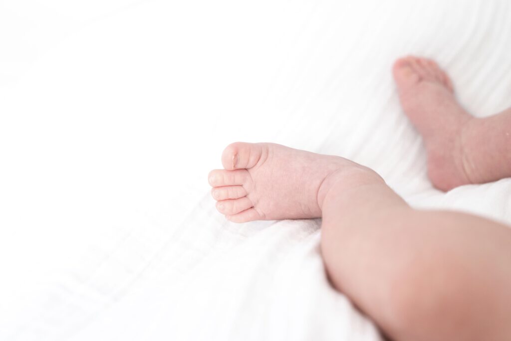 Galerie nouveau ne 1