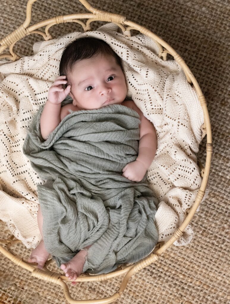 Galerie nouveau ne 11