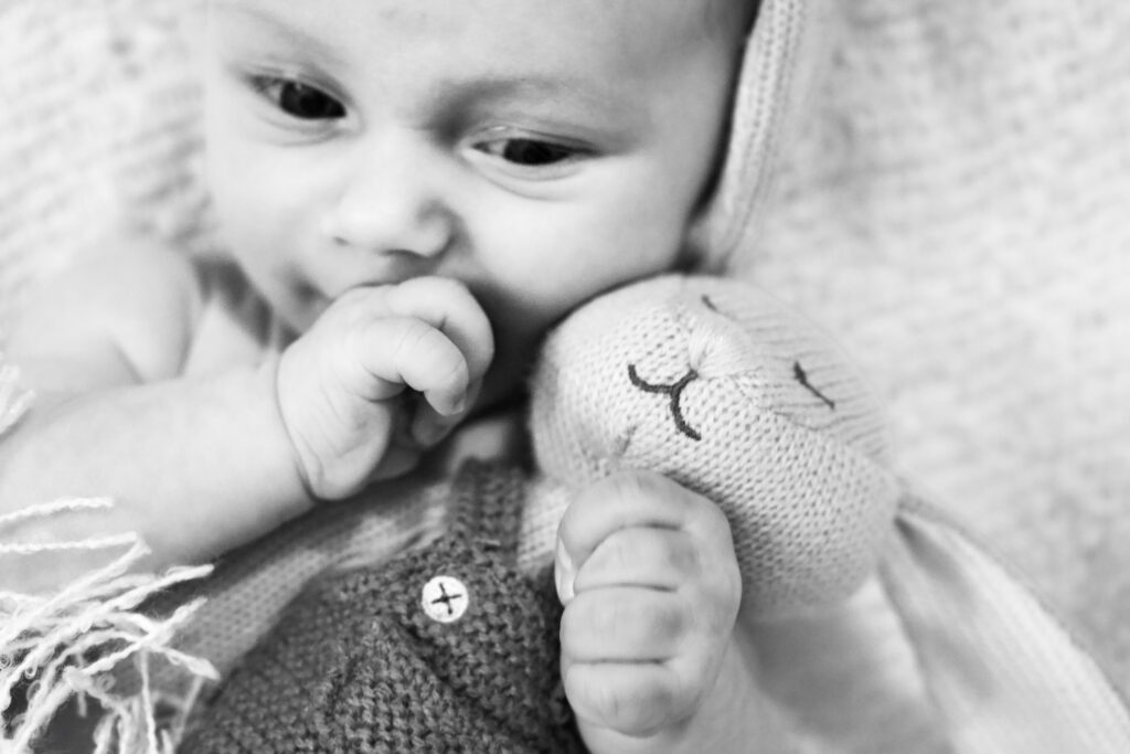 Galerie nouveau ne 12