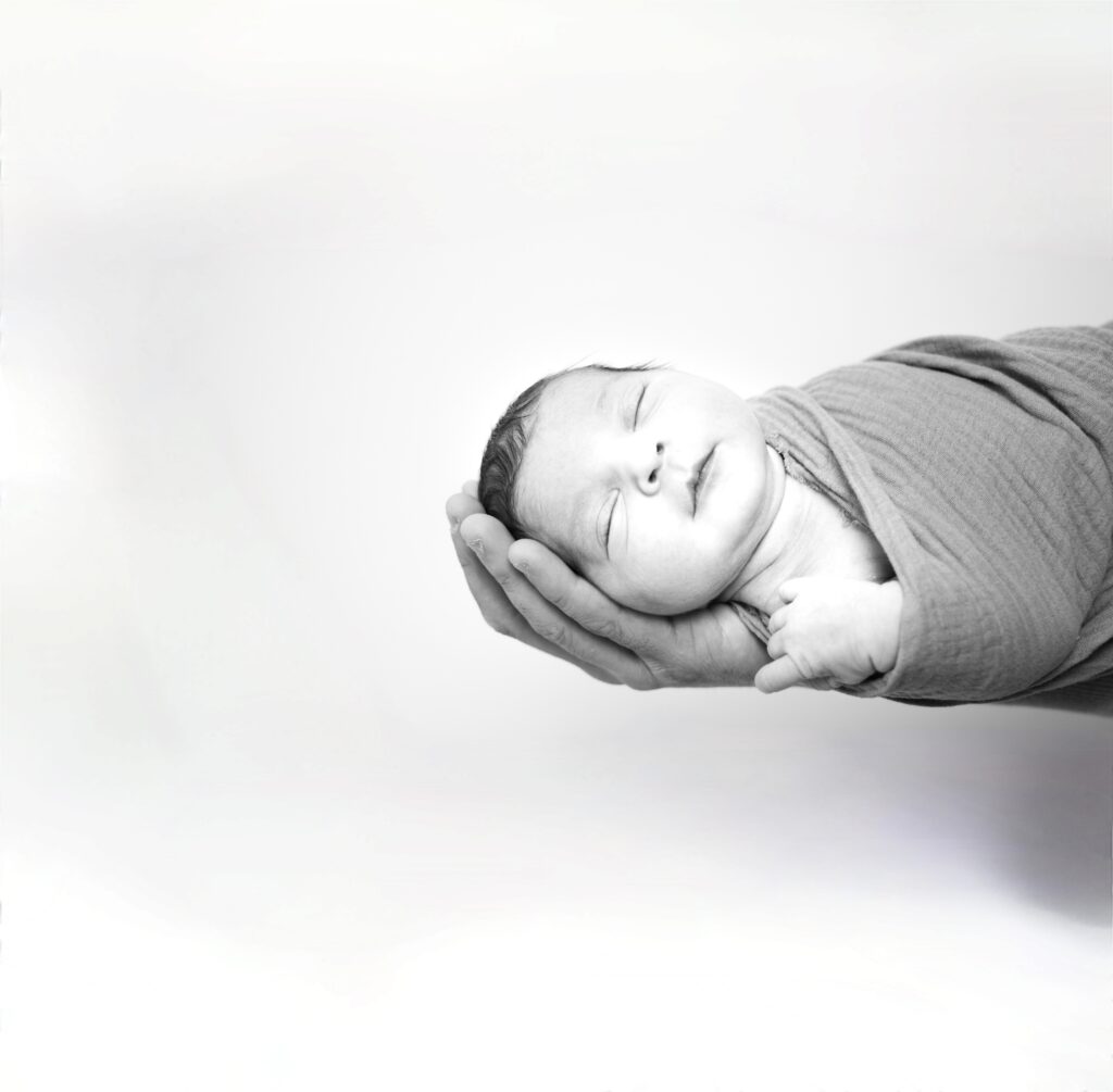 Galerie nouveau ne 14