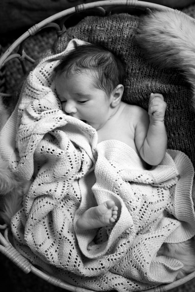 Galerie nouveau ne 17