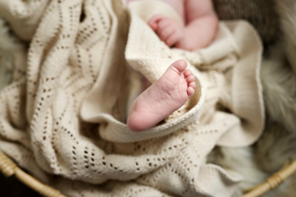 Galerie nouveau ne 18