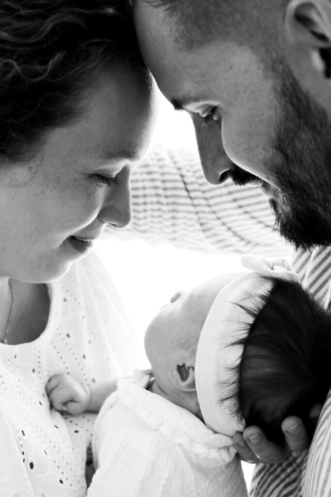 Galerie nouveau ne 21