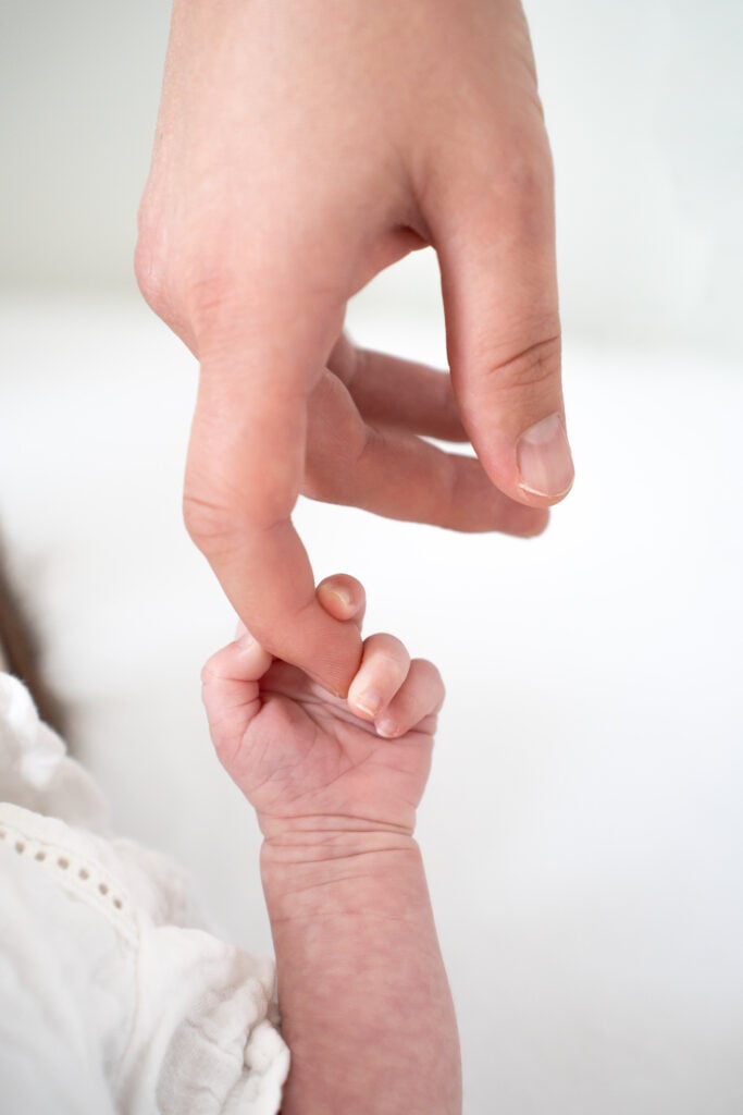 Galerie nouveau ne 24