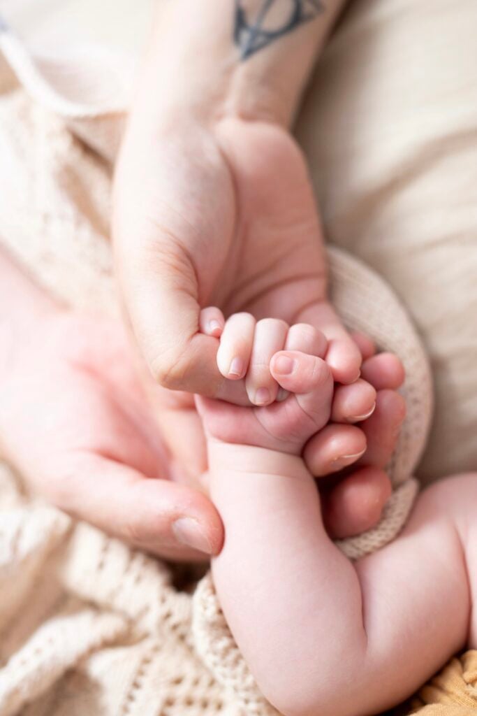 Galerie nouveau ne 31